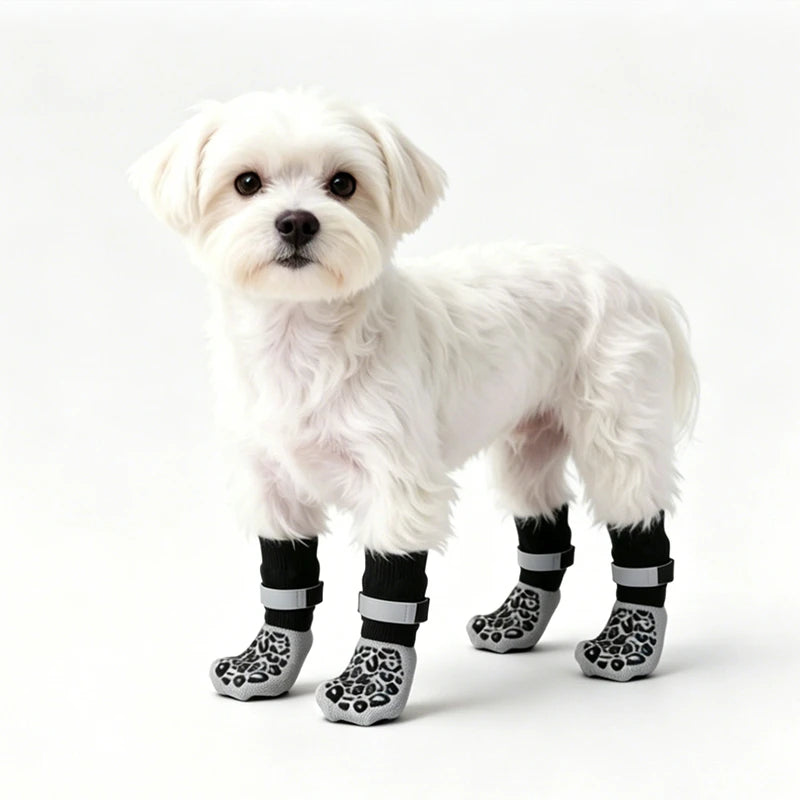 Four Seasons Dog Paw Socks