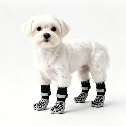 Four Seasons Dog Paw Socks