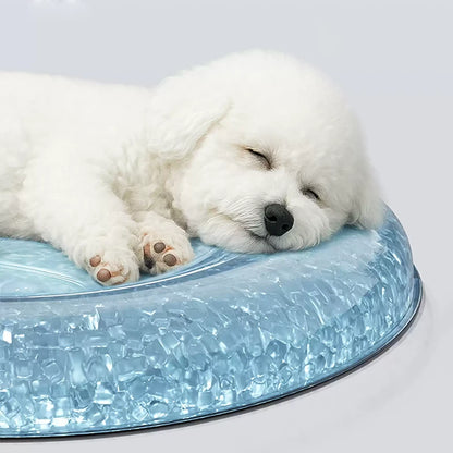 Water-Activated Gel Pet Cooling Bed