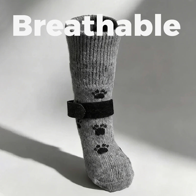 Four Seasons Dog Paw Socks