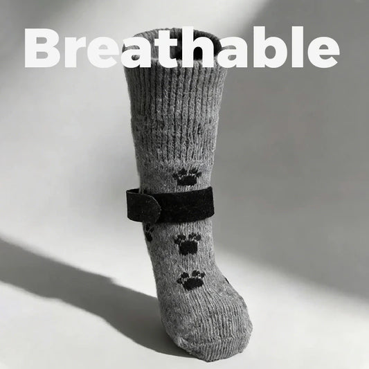 Four Seasons Dog Paw Socks